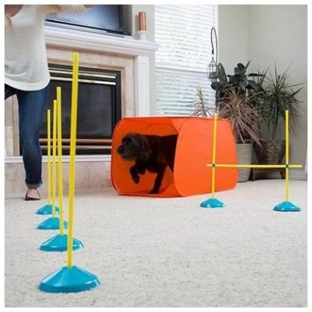 Outward Hound Zip and Zoom Agility Training for Dogs- (297)